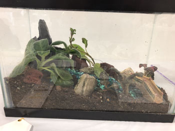 44b Terrarium