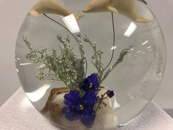 48a Great Barrier Reef