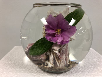 48b Great Barrier Reef