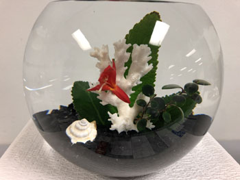 48c Great Barrier Reef