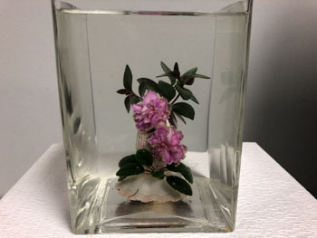 48d Great Barrier Reef