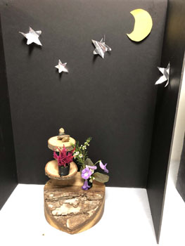 49a Vacation Imagination