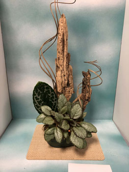 51a Desert Southwest