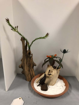 51c Desert Southwest