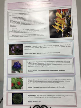 56a Educational Poster 