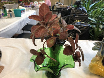 59b Unusual Container