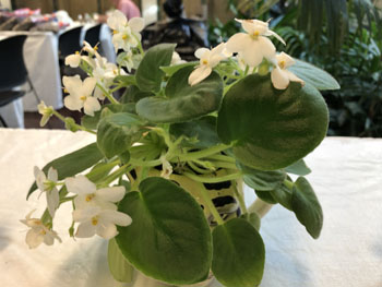 59f Unusual Container