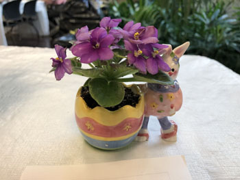 59g Unusual Container