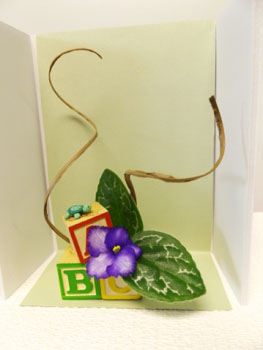 48d-Discovery Corner