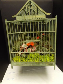 50b-The Bird Cage