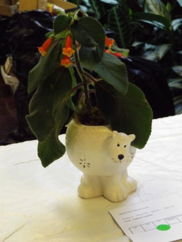 60b-Unusual Container