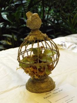 60c-Unusual Container