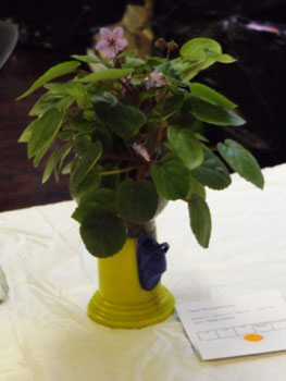 60d-Unusual Container