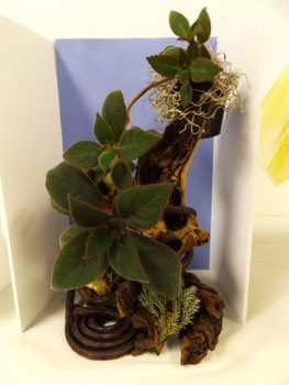 Best in Show - Artistic