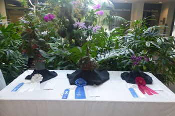 Best in Show - Horticulture Winners