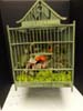 50b-The Bird Cage
